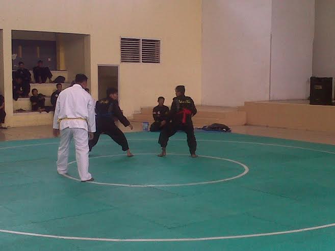 Ketua KONI Riau Buka Kejurda Silat